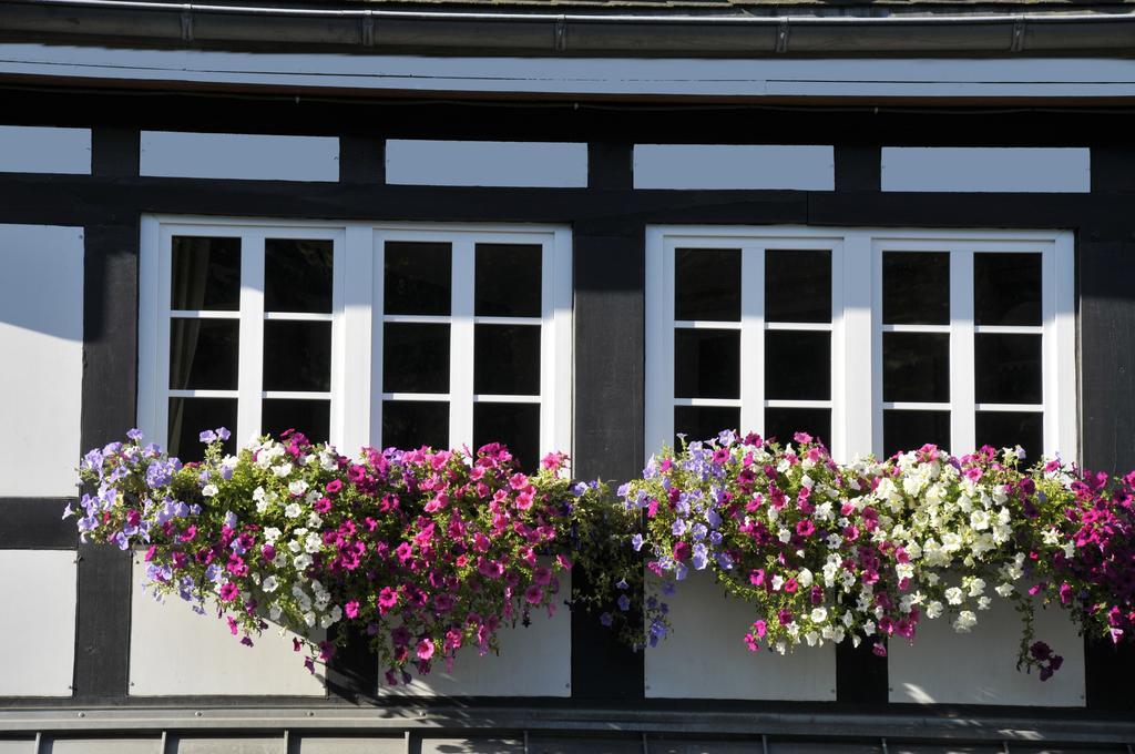 Landidyll Hotel Haus Hochstein 埃斯洛黑 外观 照片